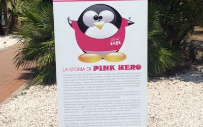 Pink Hero vi aspetta!