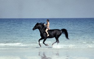 Scena del film prodotto da Francis Ford Coppola Black stallion