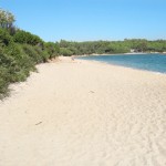 Vista della spiaggia Mannea