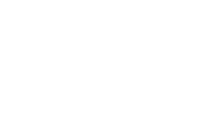 Shuttle service