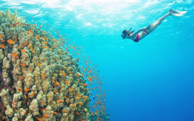 Diving Calabria: i 5 migliori tratti di mare dove fare snorkeling e immersioni