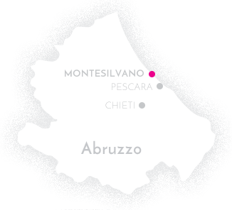 Il Club Esse Mediterraneo a Montesilvano in Abruzzo