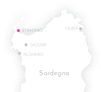 Il Club Esse Roccaruja a Stintino in Sardegna Il Club Esse Roccaruja a Stintino in Sardegna