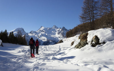 5 things to do in Valle d’Aosta by way of parks and excursions