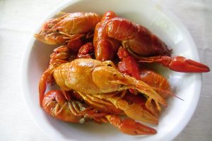 Popoli crawfish