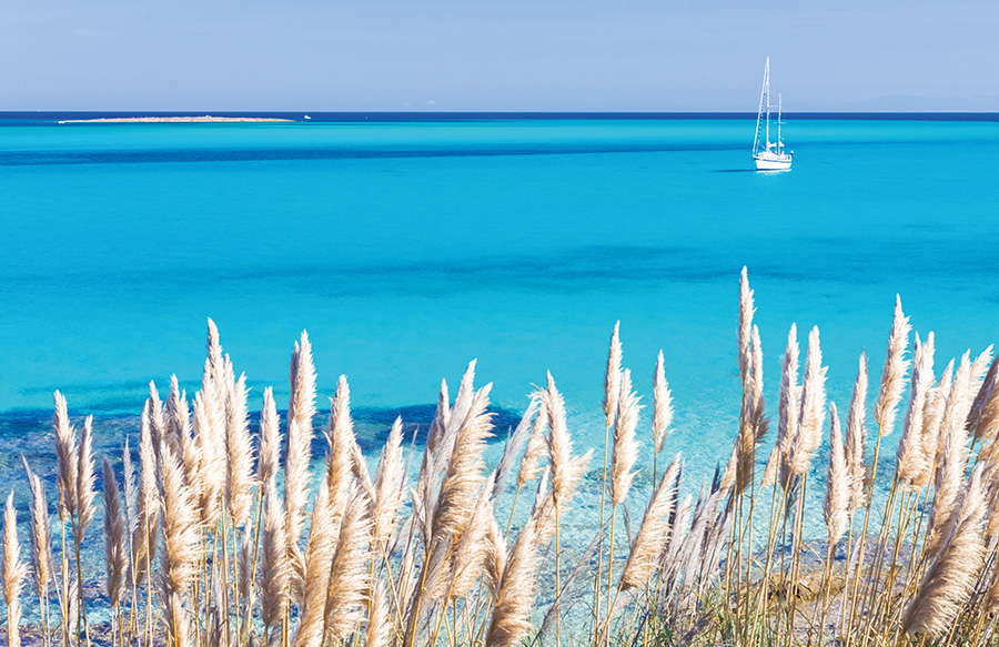 Golfo dell'Asinara Stintino