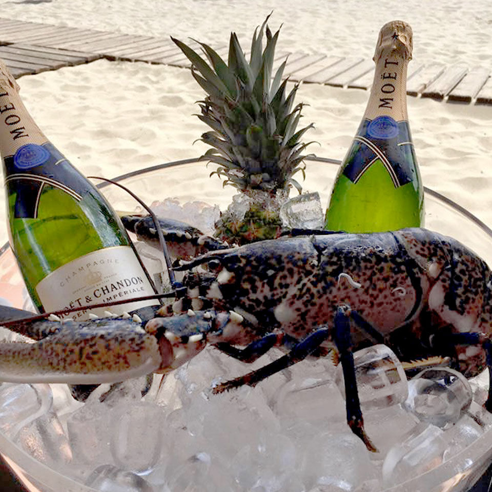lobster-shellfishi-dinner-beach-champagne Fresh fish and champagne on La Pelosa beach