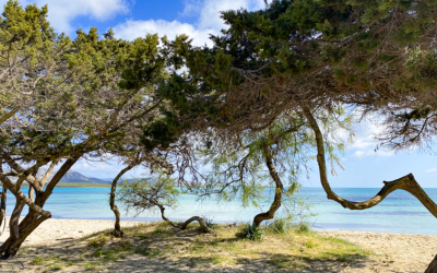 Vacanze sostenibili: villaggi turistici e l’impegno a ridurre l’impatto ambientale