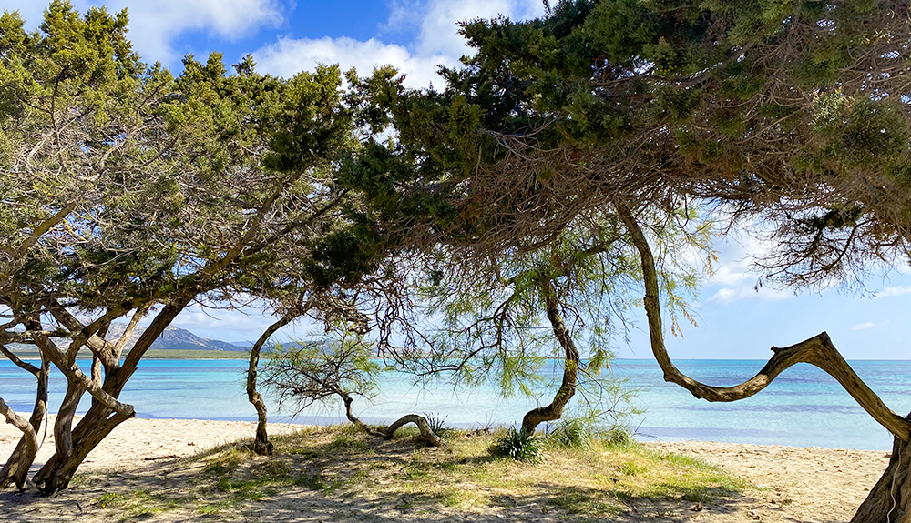 Vacanze sostenibili: villaggi turistici e l’impegno a ridurre l’impatto ambientale